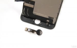 iphone 7 новости